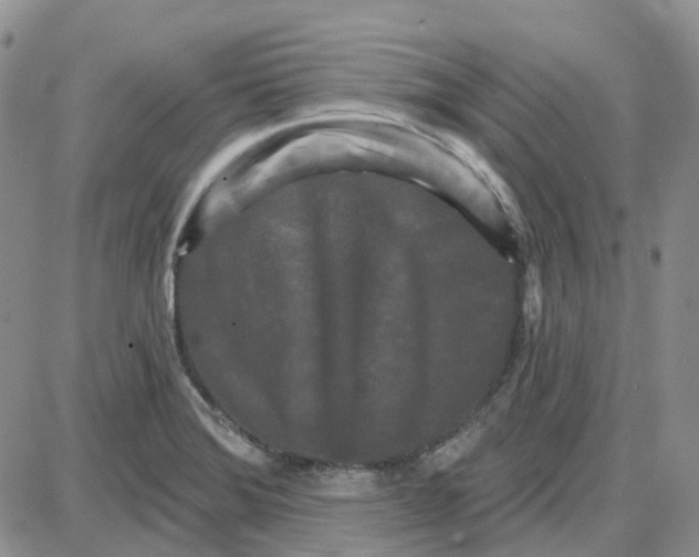 X0000087631372200705241204