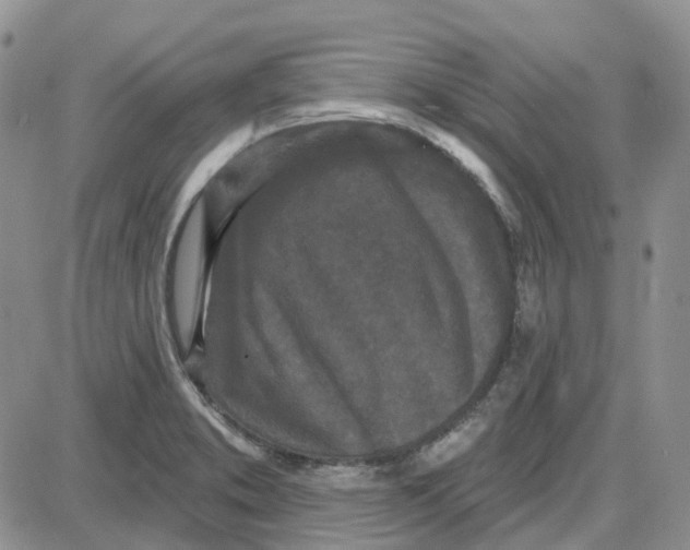 X0000087631373200705241204