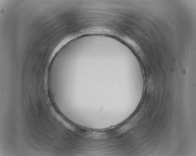 X0000087631374200705241204