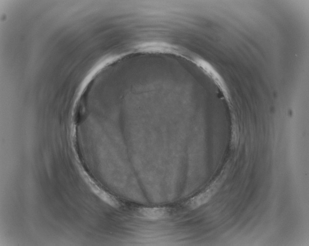 X0000087631376200705241204