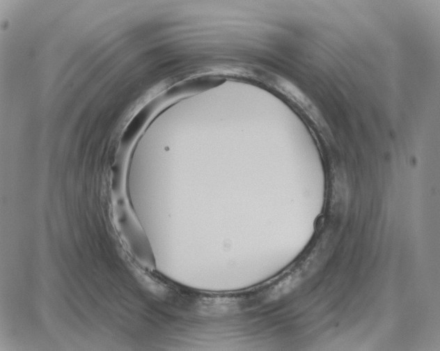 X0000087631377200705241204