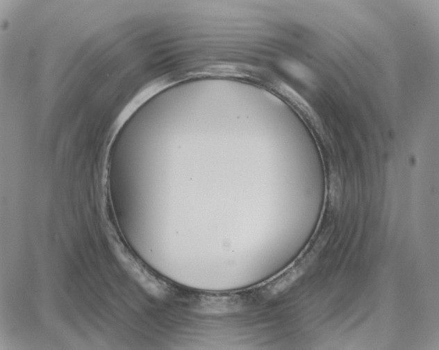 X0000087631378200705241204