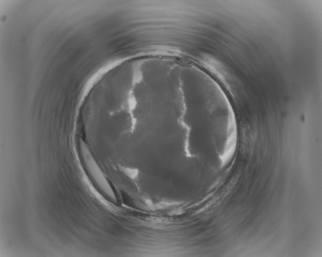 X0000087631379200705241204