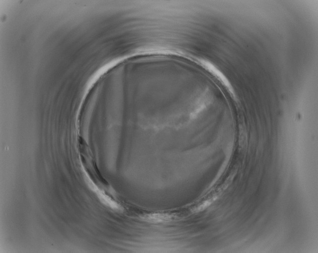 X0000087631380200705241204