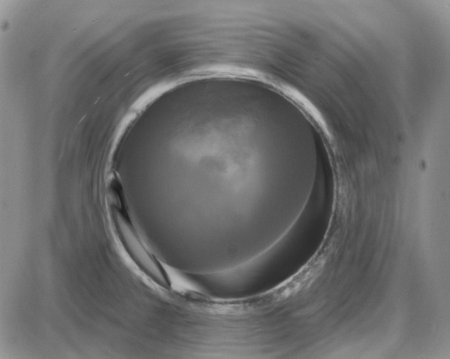 X0000087631381200705241204