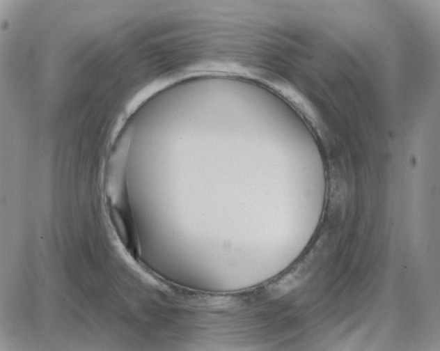 X0000087631382200705241204