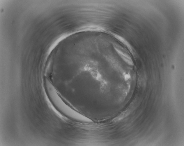 X0000087631383200705241204