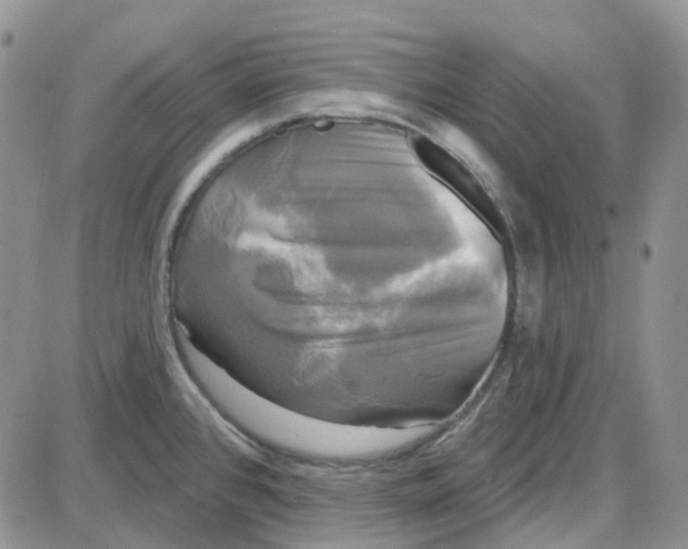 X0000087631384200705241204