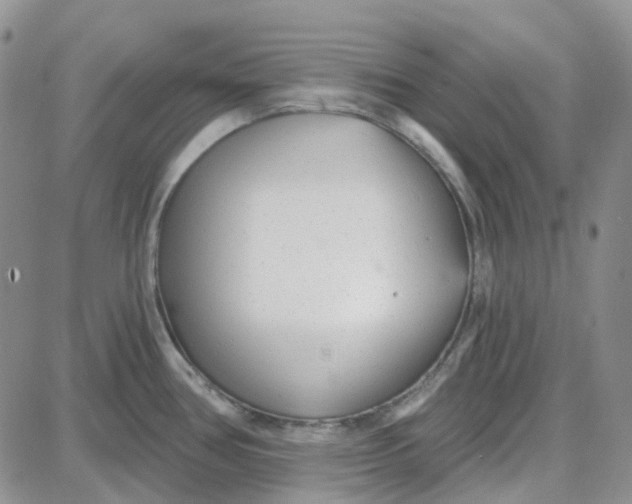 X0000087631386200705241204