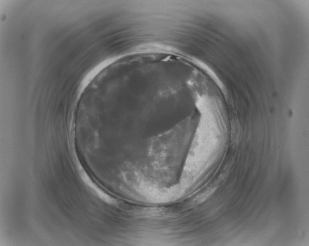 X0000087631387200705241204