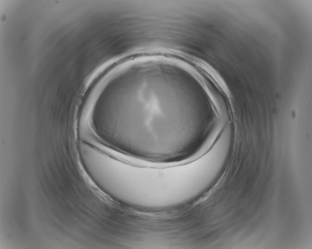 X0000087631388200705241204