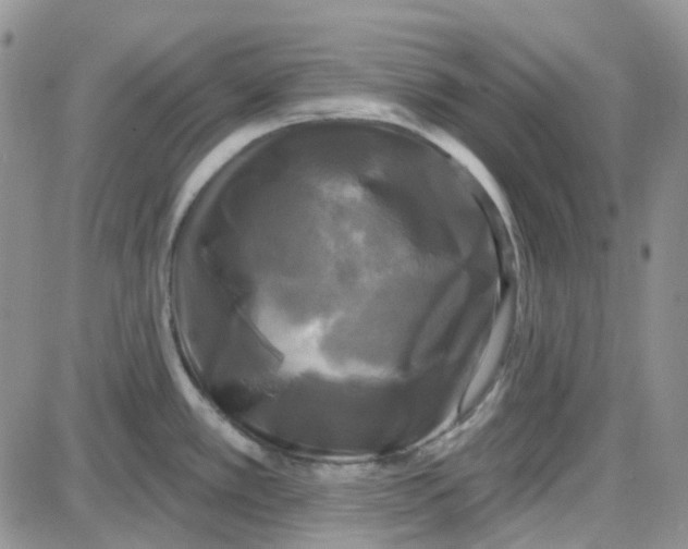 X0000087631389200705241204