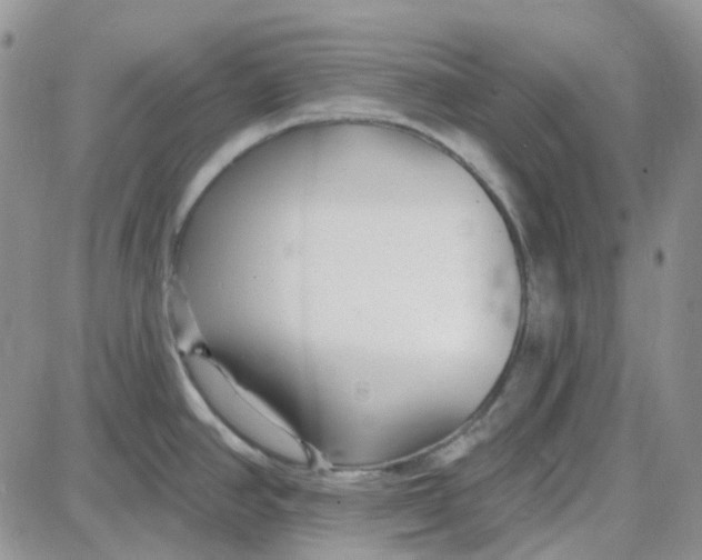 X0000087631390200705241204