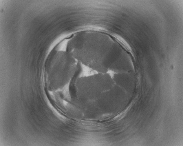 X0000087631391200705241204