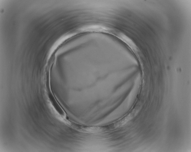 X0000087631392200705241204