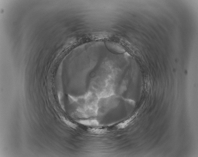 X0000087631393200705241203