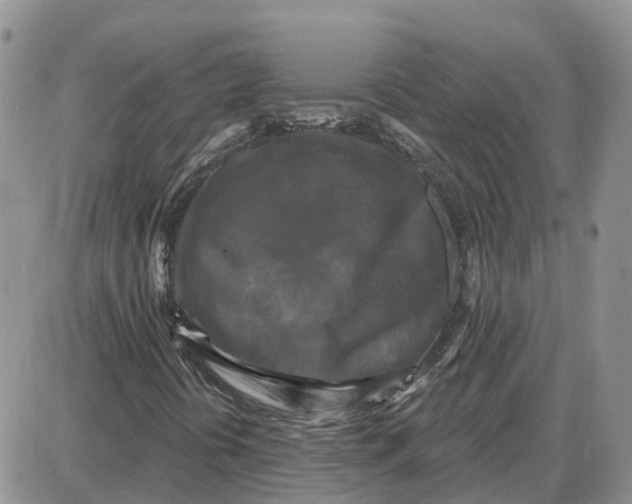 X0000087631394200705241203