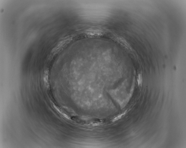 X0000087631396200705241203