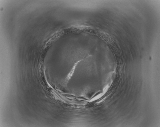 X0000087631397200705241203