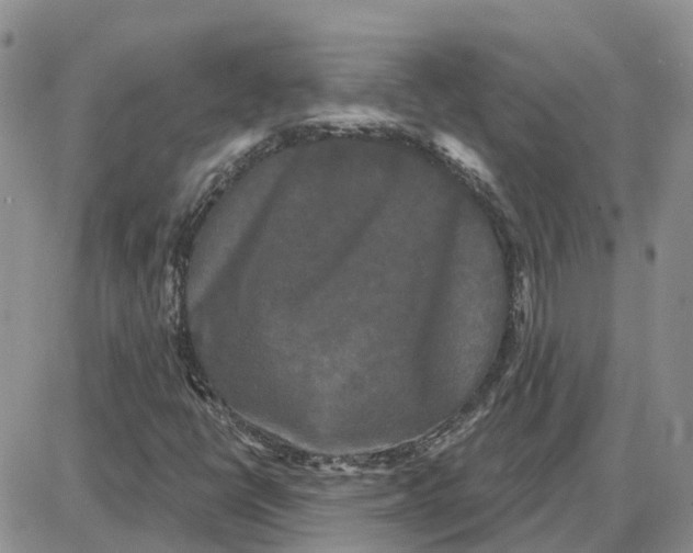 X0000087631398200705241203