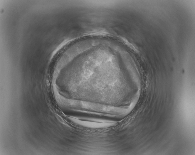 X0000087631400200705241203