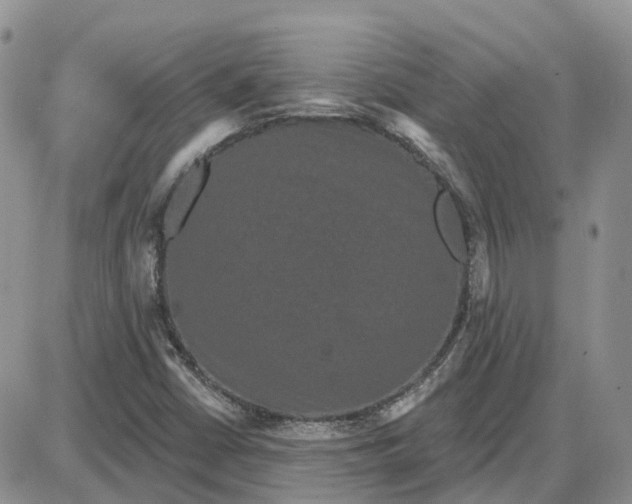 X0000087631402200705241203