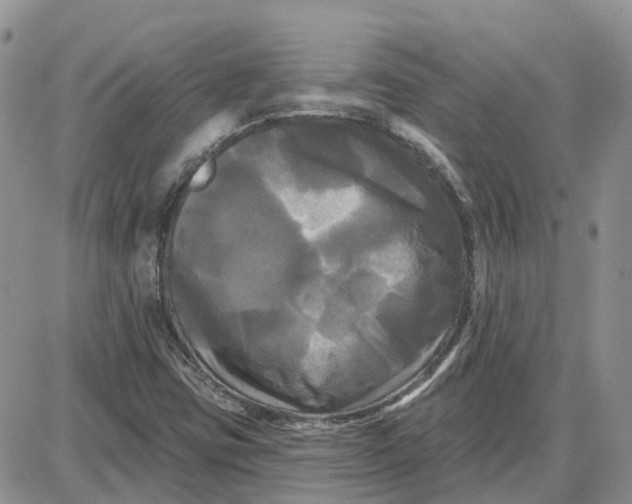 X0000087631403200705241203