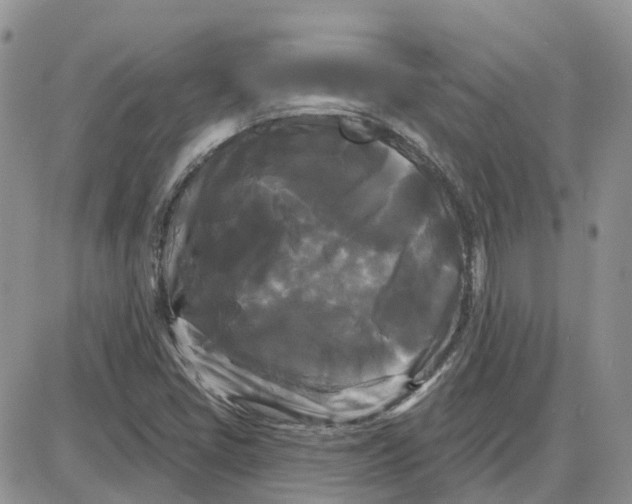 X0000087631405200705241203