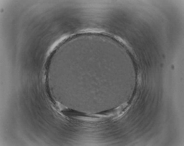 X0000087631406200705241203