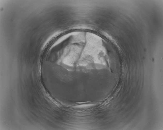 X0000087631408200705241203