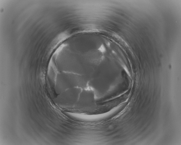 X0000087631409200705241203