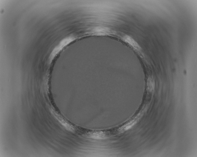 X0000087631410200705241203