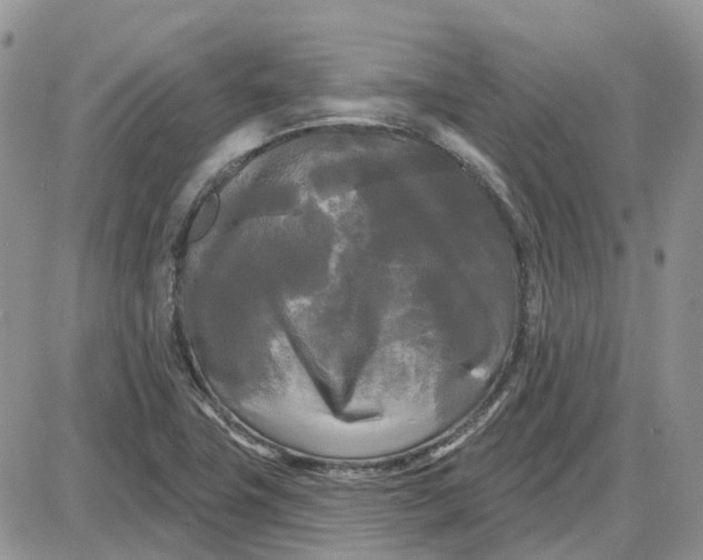 X0000087631411200705241203