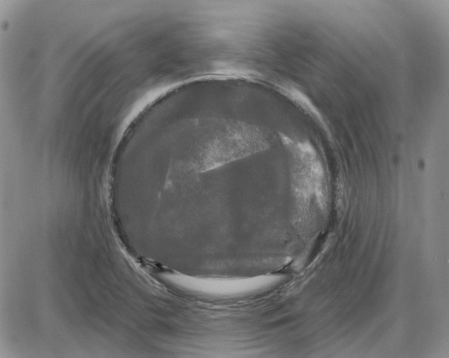 X0000087631412200705241203