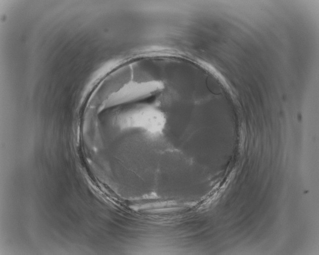 X0000087631413200705241203