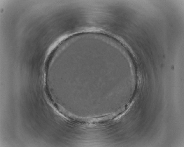 X0000087631414200705241203