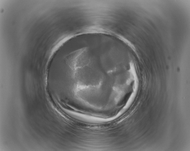 X0000087631415200705241203