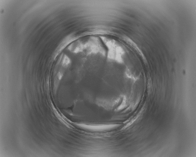 X0000087631417200705241203