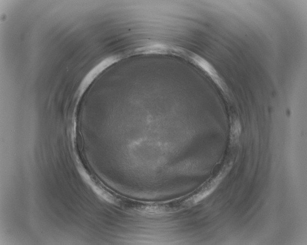 X0000087631418200705241203