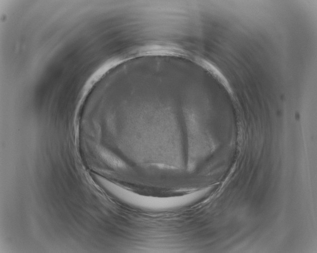 X0000087631419200705241203