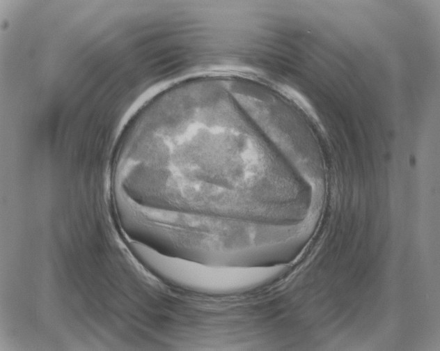 X0000087631420200705241203