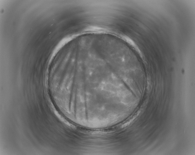 X0000087631421200705241203