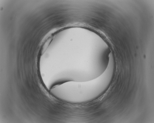 X0000087631422200705241204