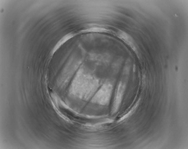 X0000087631425200705241204