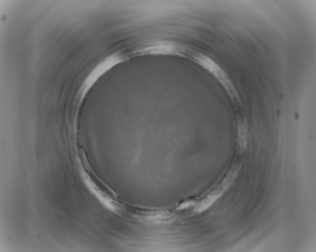 X0000087631426200705241204