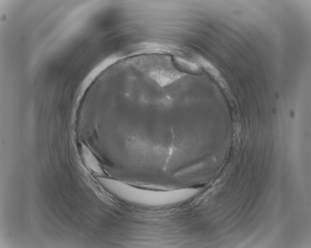 X0000087631427200705241204