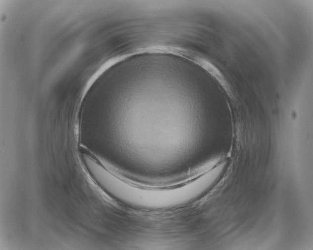 X0000087631428200705241204