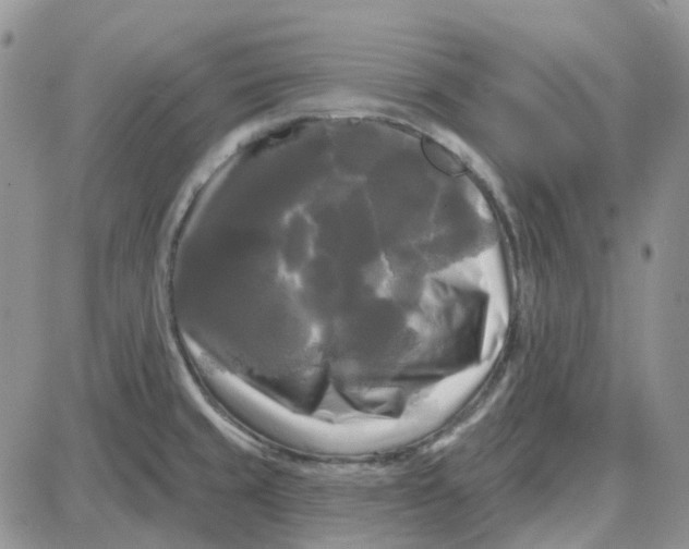 X0000087631429200705241204