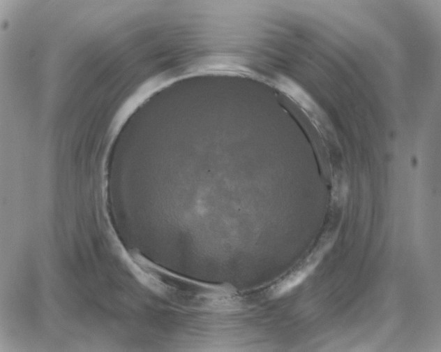 X0000087631430200705241204