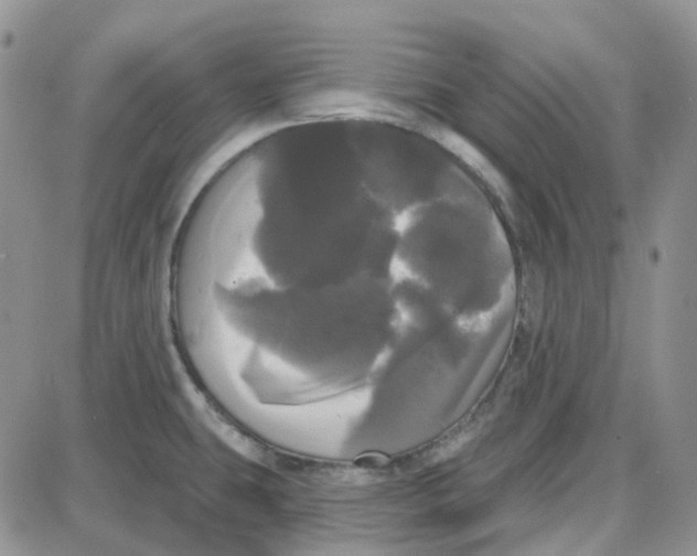 X0000087631431200705241204